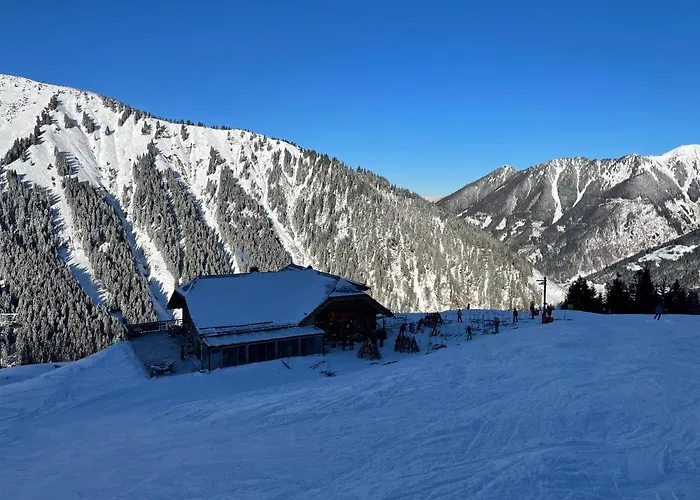 Werkstattl Rassis Donnersbachwald